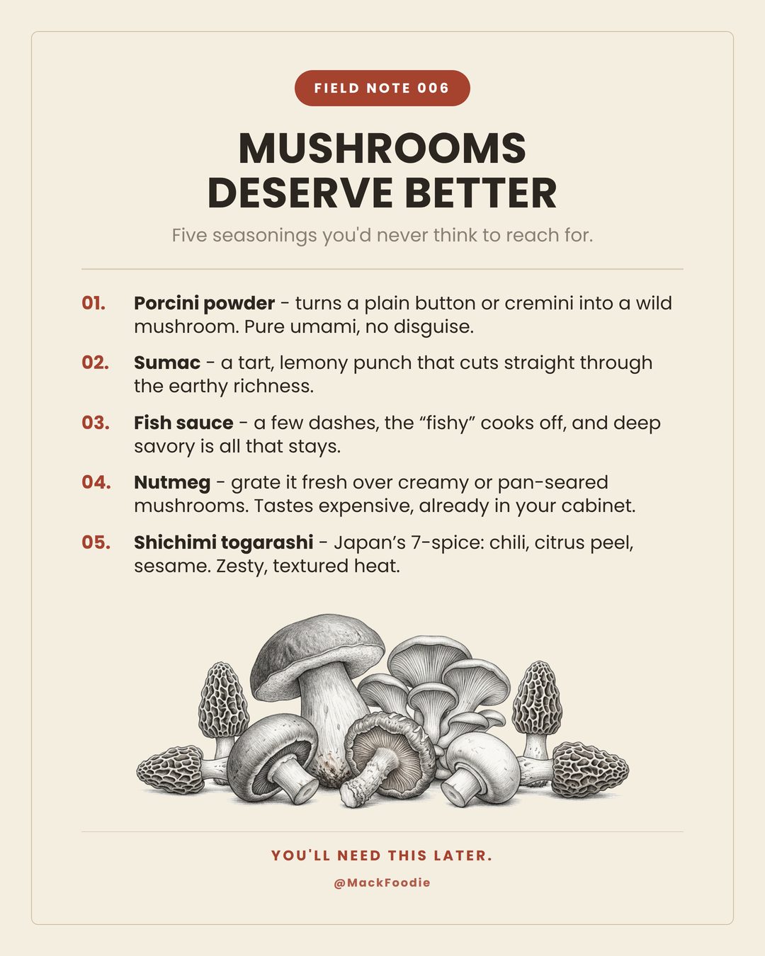 Field Note 006, Mushrooms deserve better.