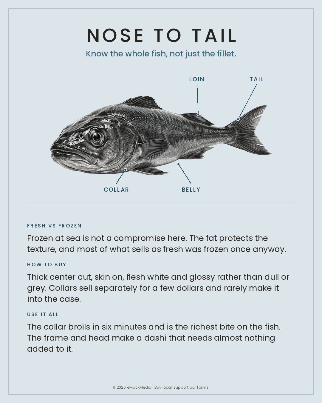 Black Cod nose to tail card
