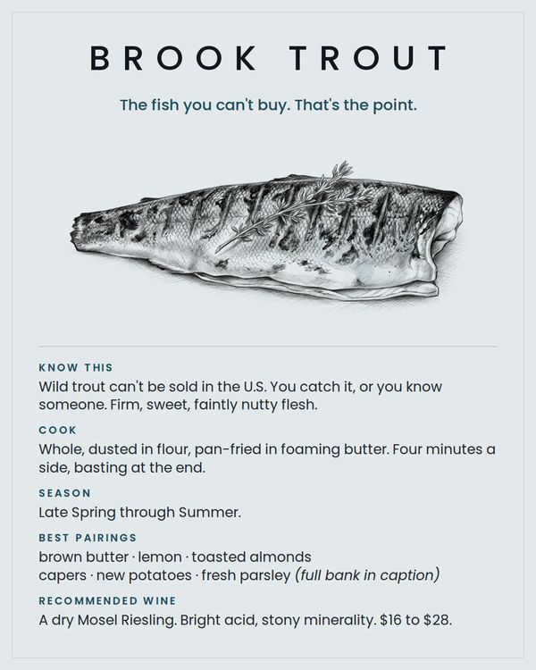 Brook Trout card