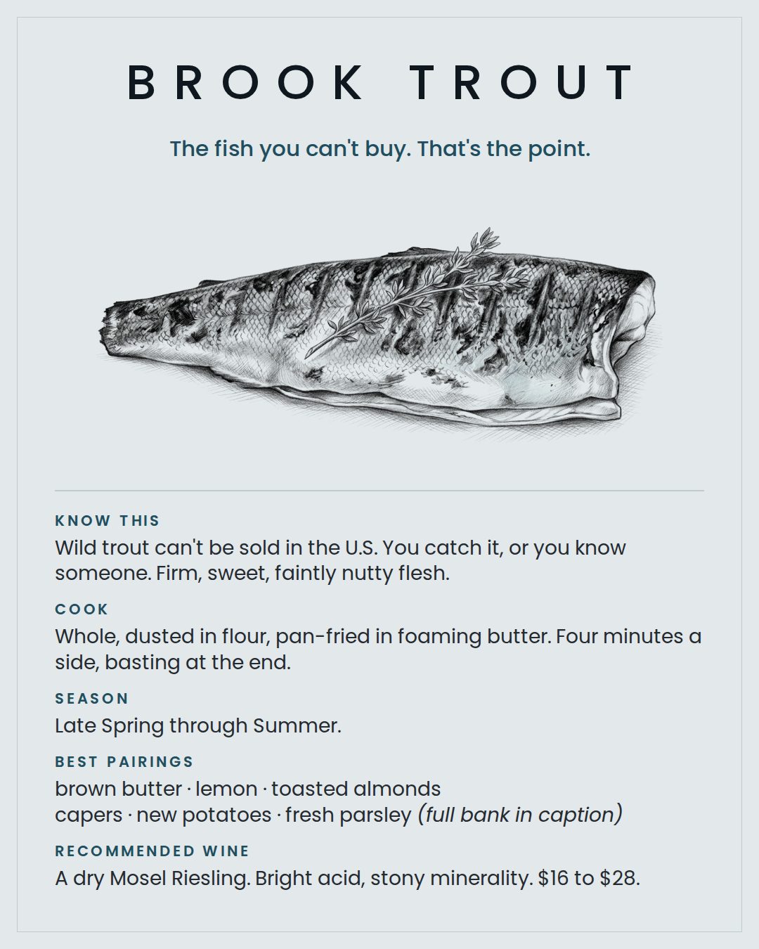 MackFoodie Brook Trout card