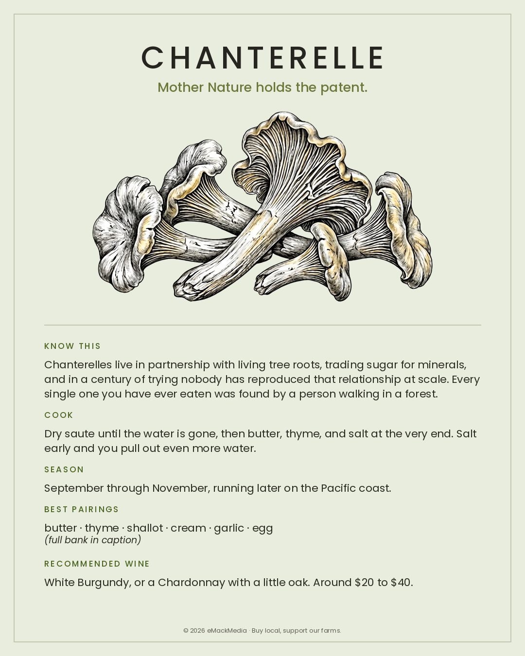MackFoodie Chanterelle card