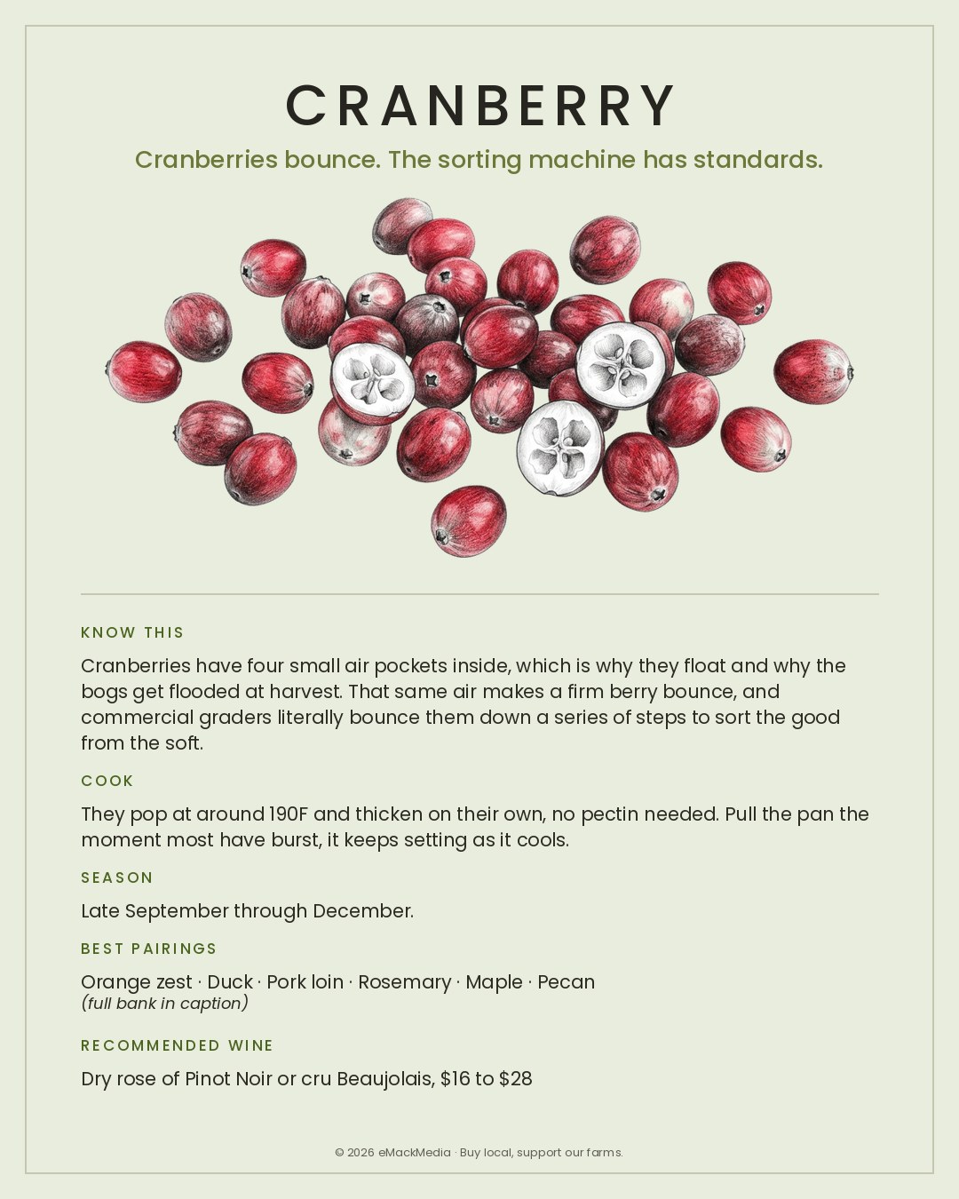 MackFoodie Cranberry card