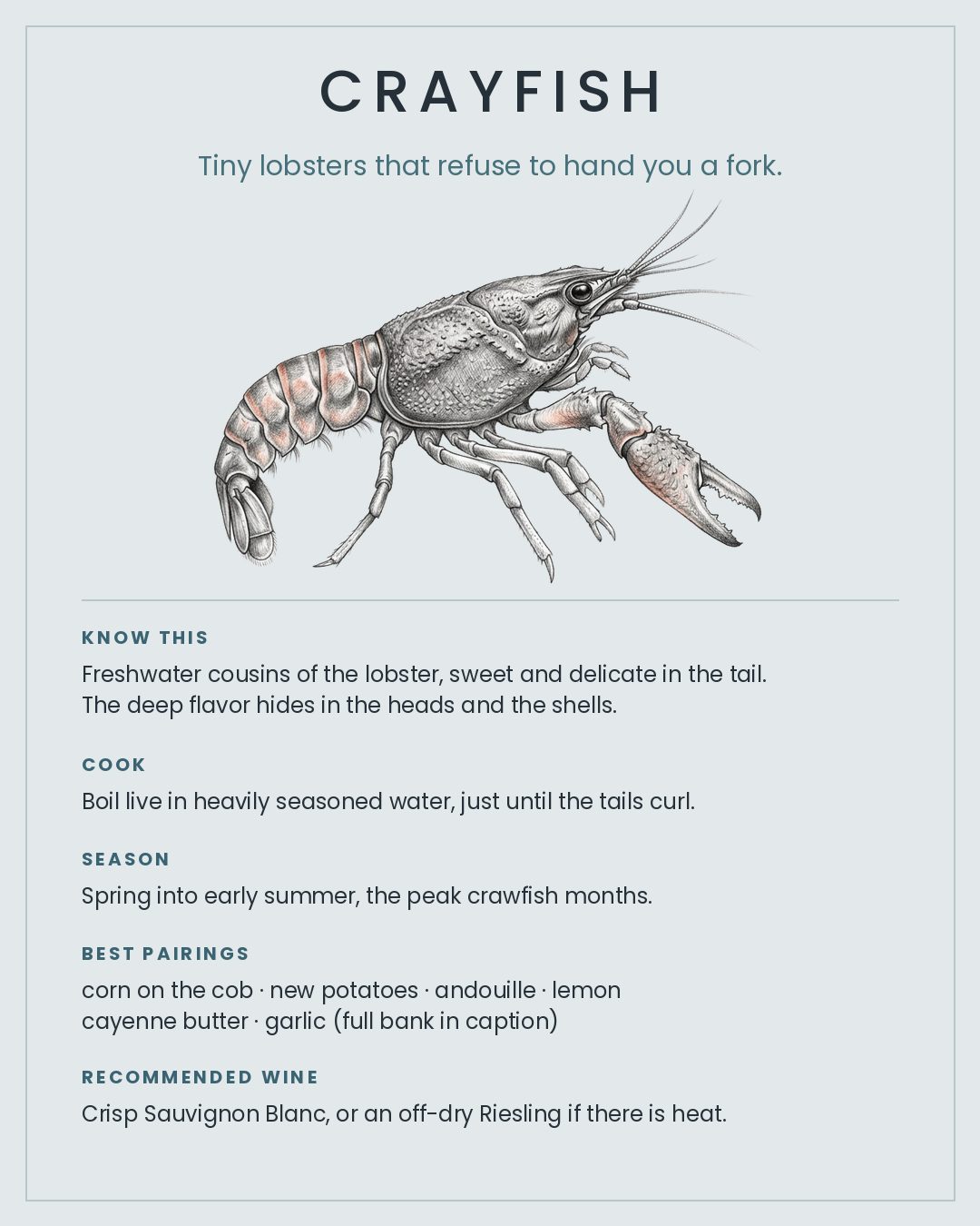 MackFoodie Crayfish card
