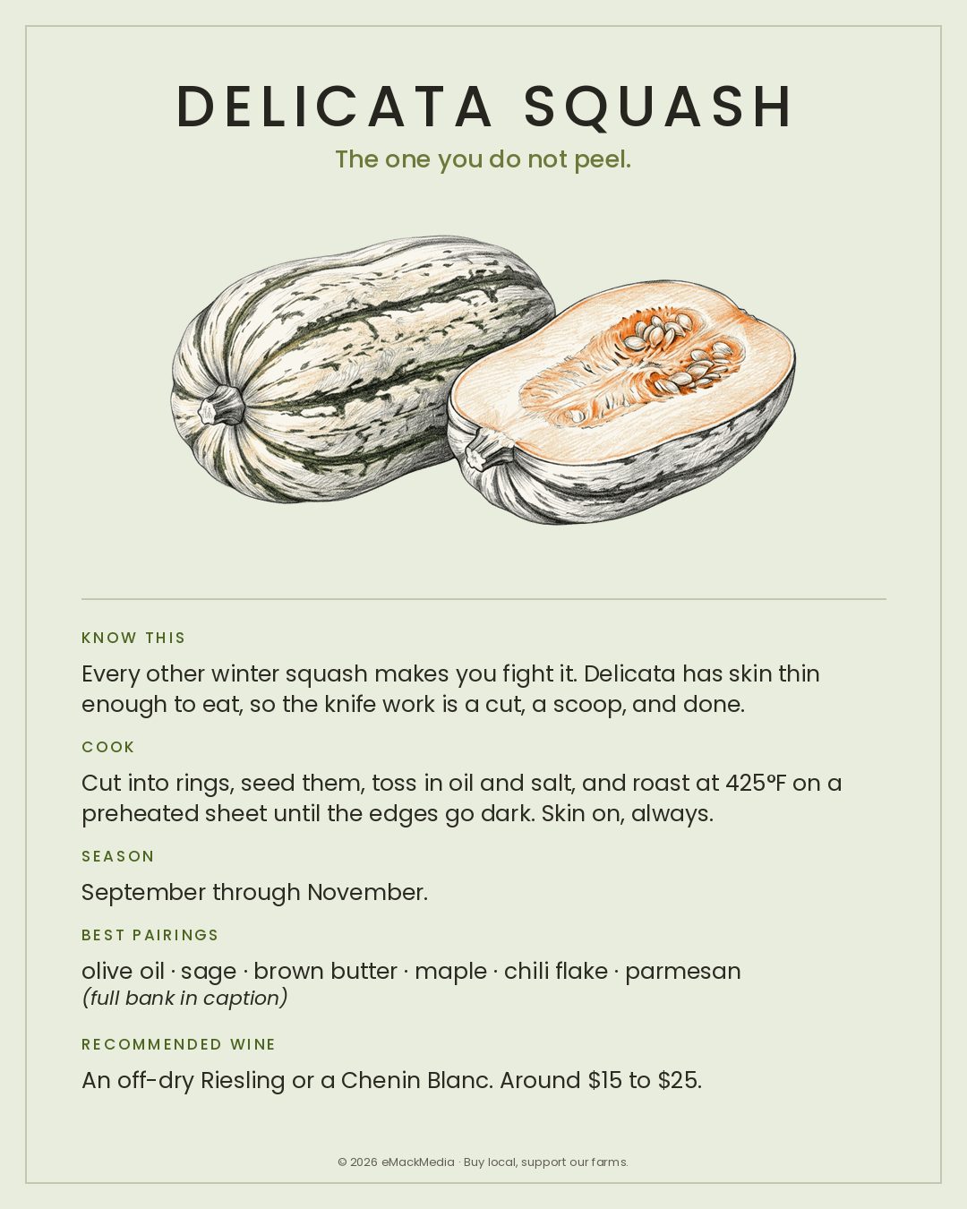 MackFoodie Delicata Squash card