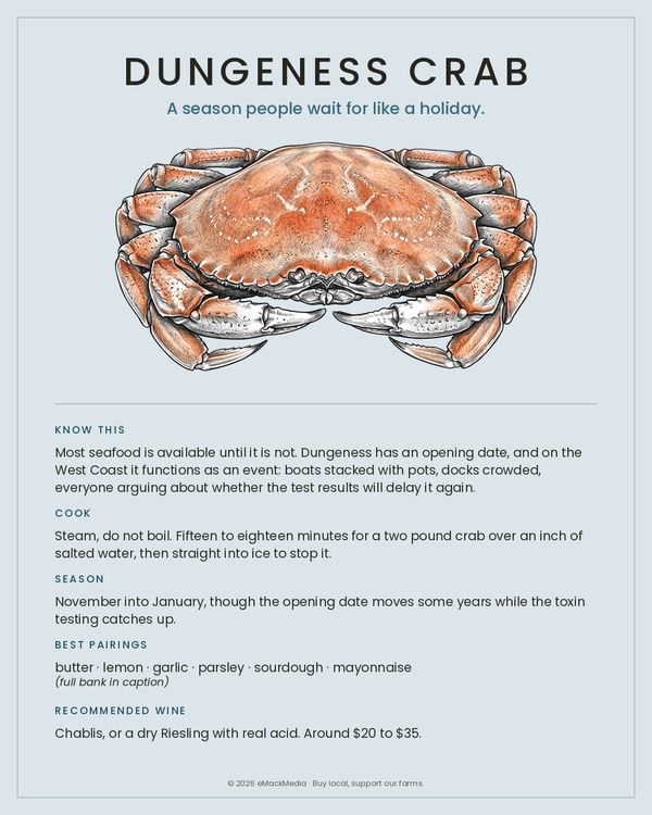 Dungeness Crab card