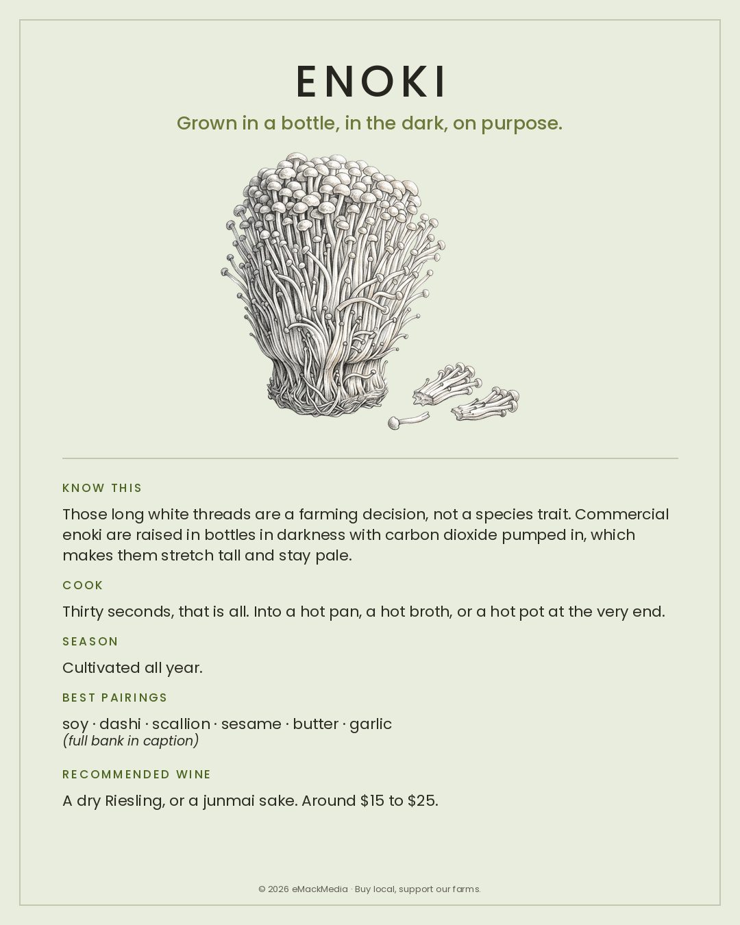 MackFoodie Enoki card