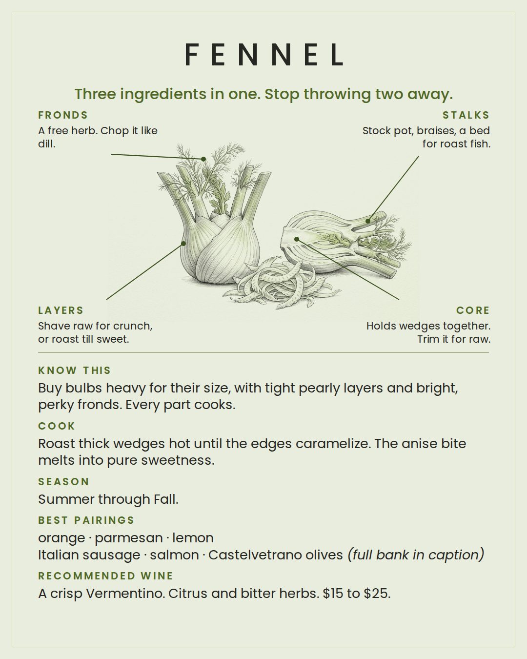 MackFoodie Fennel card