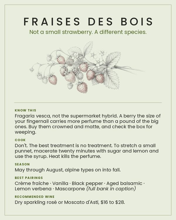 Fraises Des Bois card