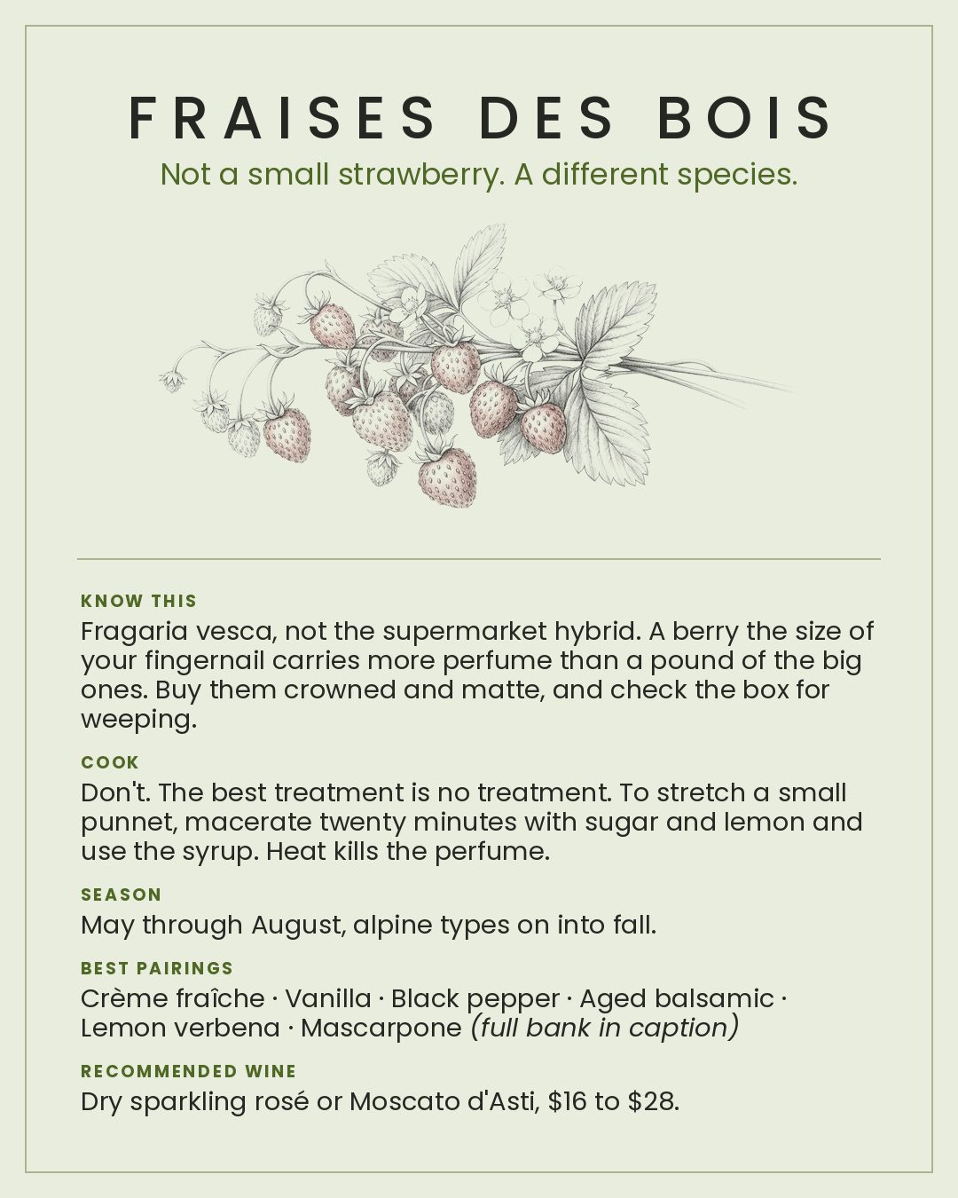 MackFoodie Fraises Des Bois card