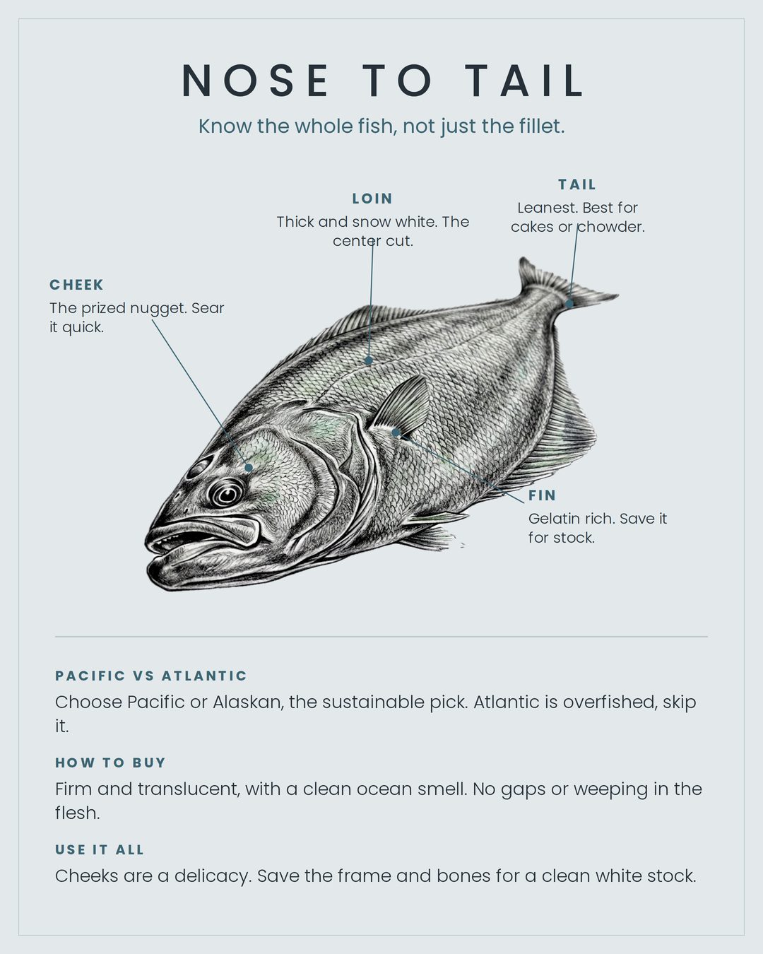 Halibut nose to tail card