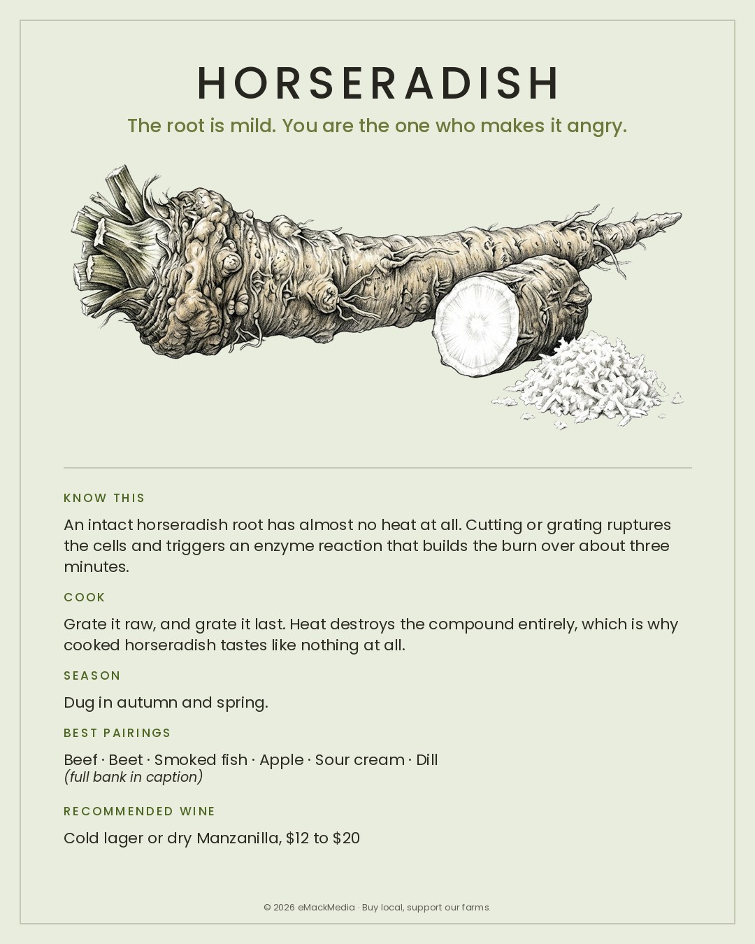 MackFoodie Horseradish card
