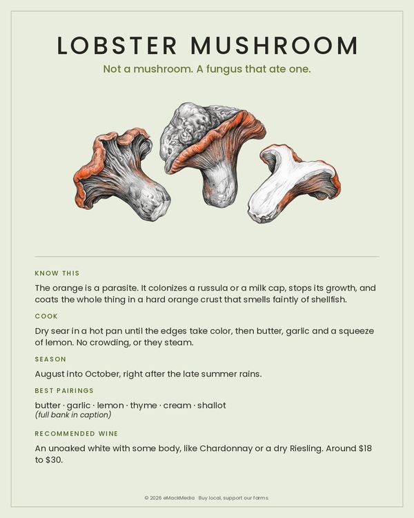 Lobster Mushroom card