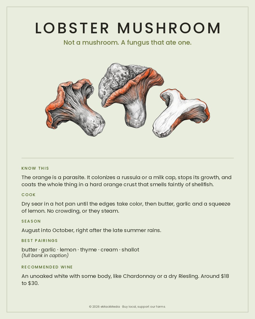 MackFoodie Lobster Mushroom card
