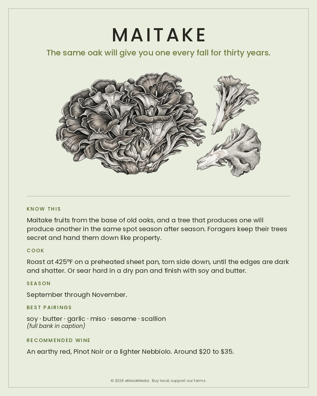 MackFoodie Maitake card