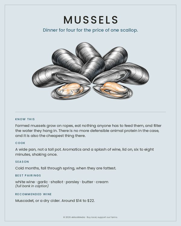 Mussels card