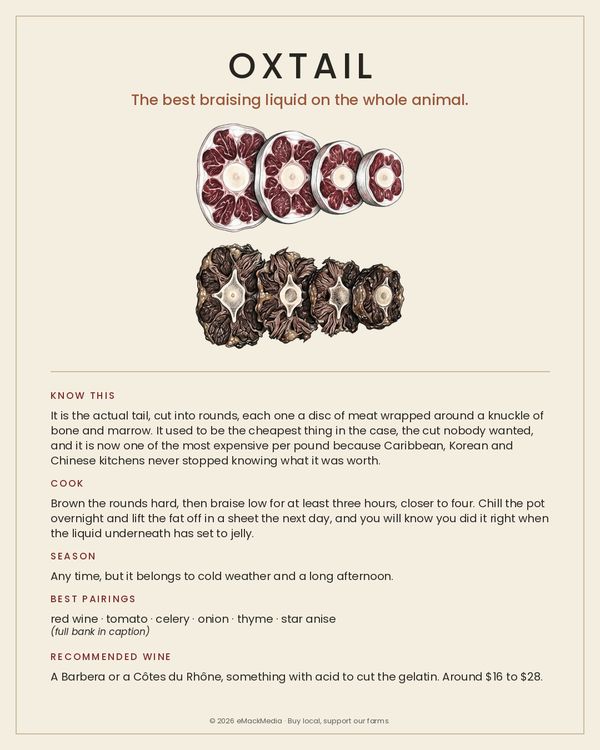 Oxtail card