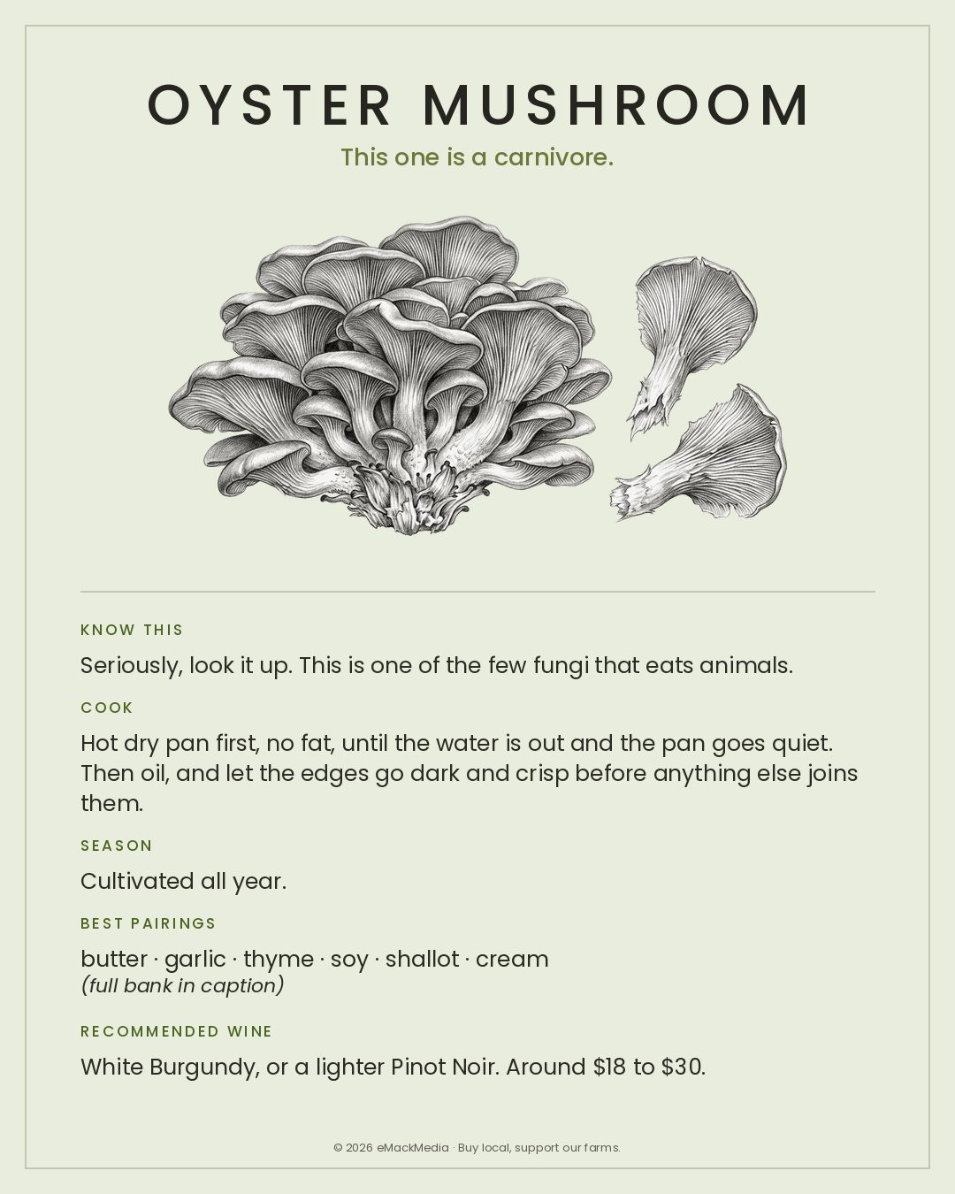 MackFoodie Oyster Mushroom card