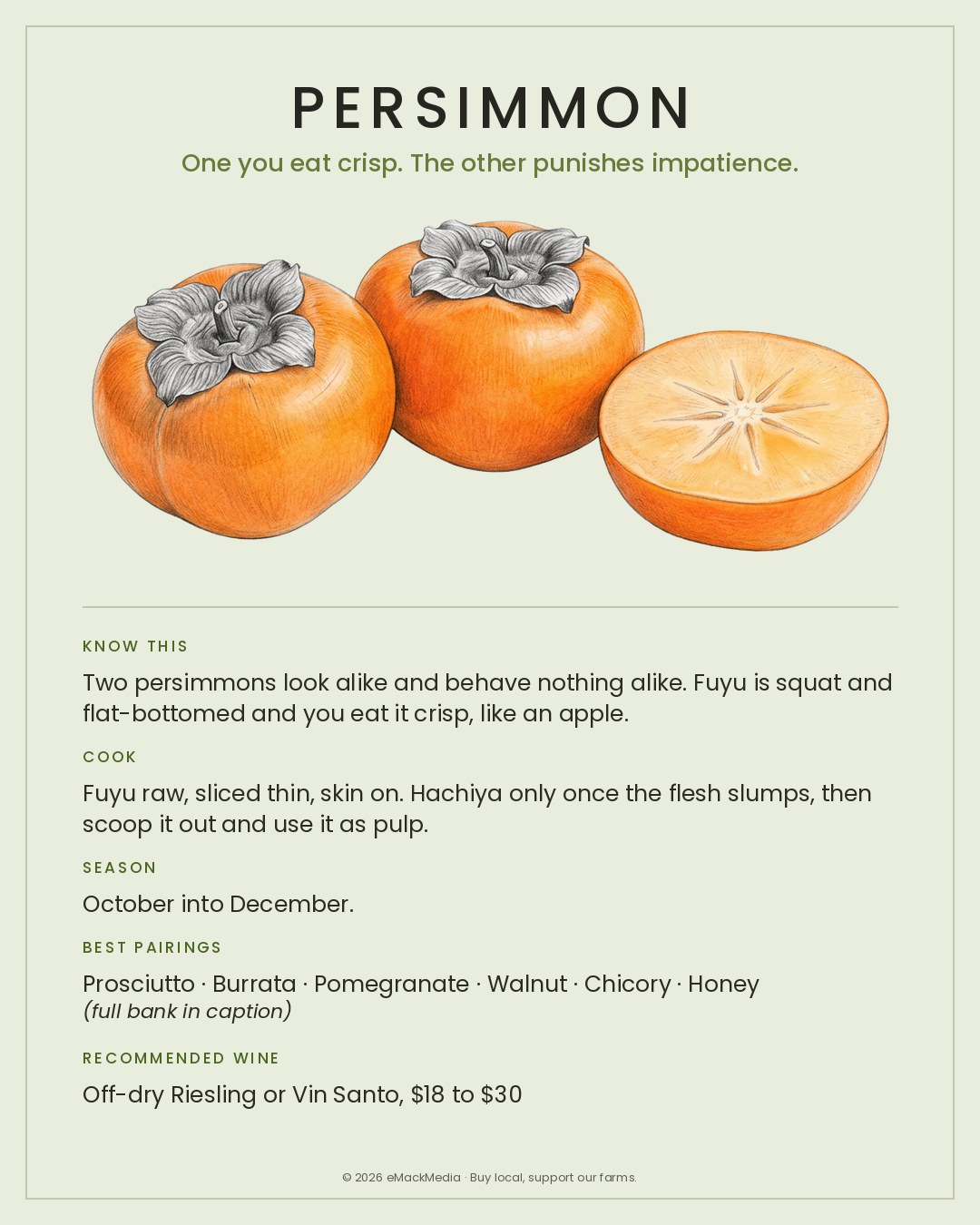 MackFoodie Persimmon card
