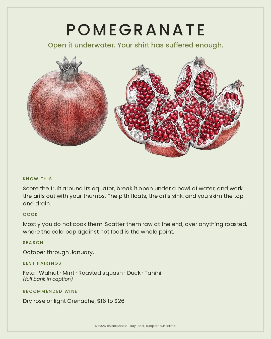 MackFoodie Pomegranate card