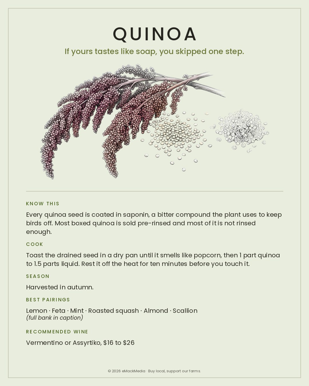 MackFoodie Quinoa card