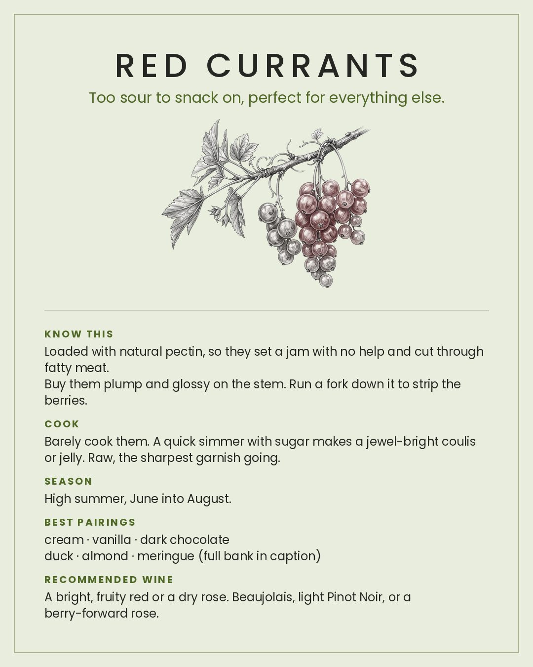 MackFoodie Red Currants card