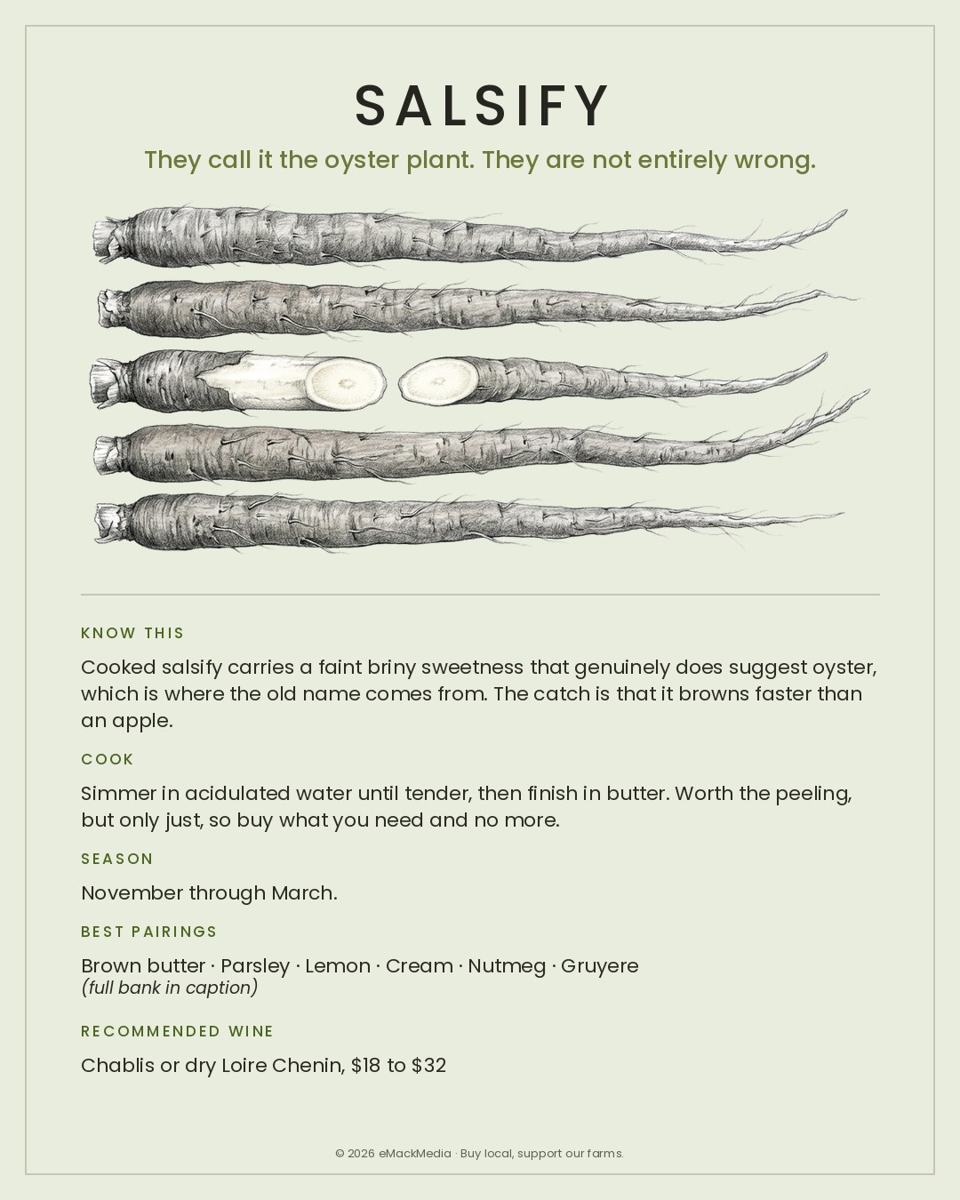 MackFoodie Salsify card