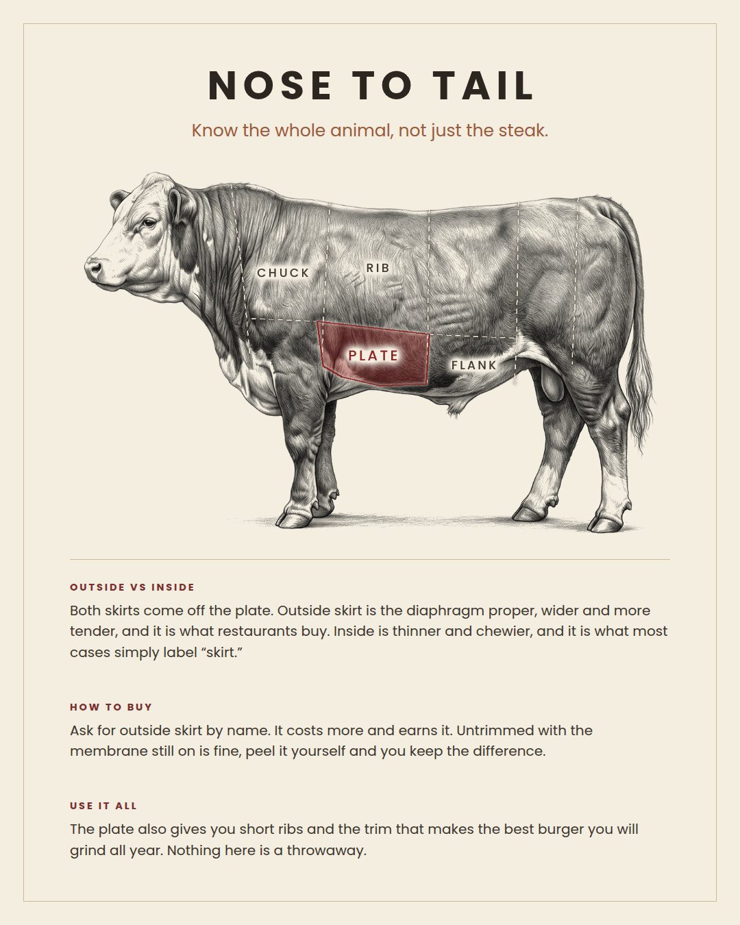 Skirt Steak nose to tail card