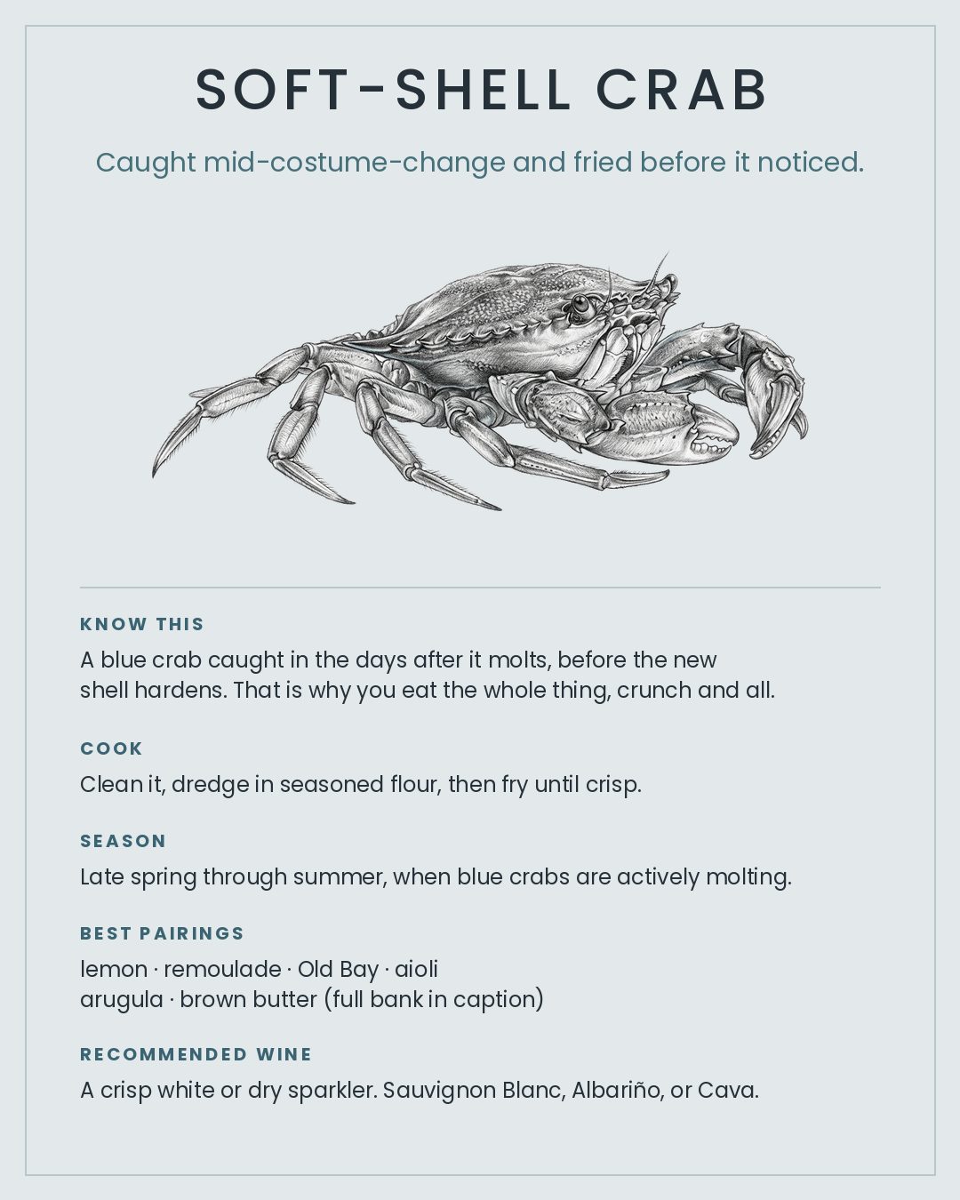 MackFoodie Soft-Shell Crab card