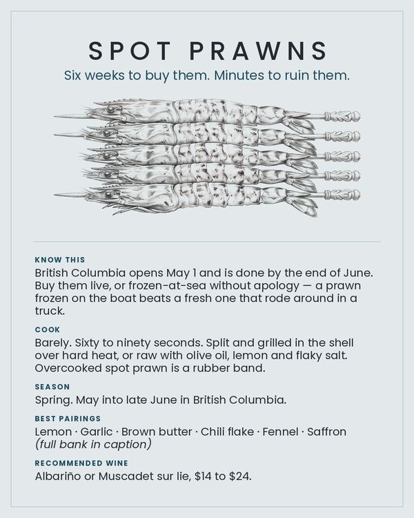 Spot Prawns card