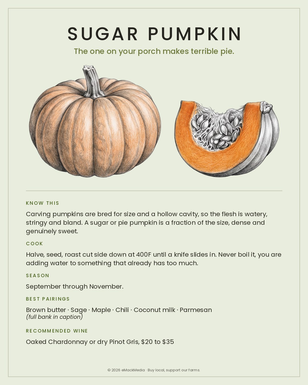 MackFoodie Sugar Pumpkin card