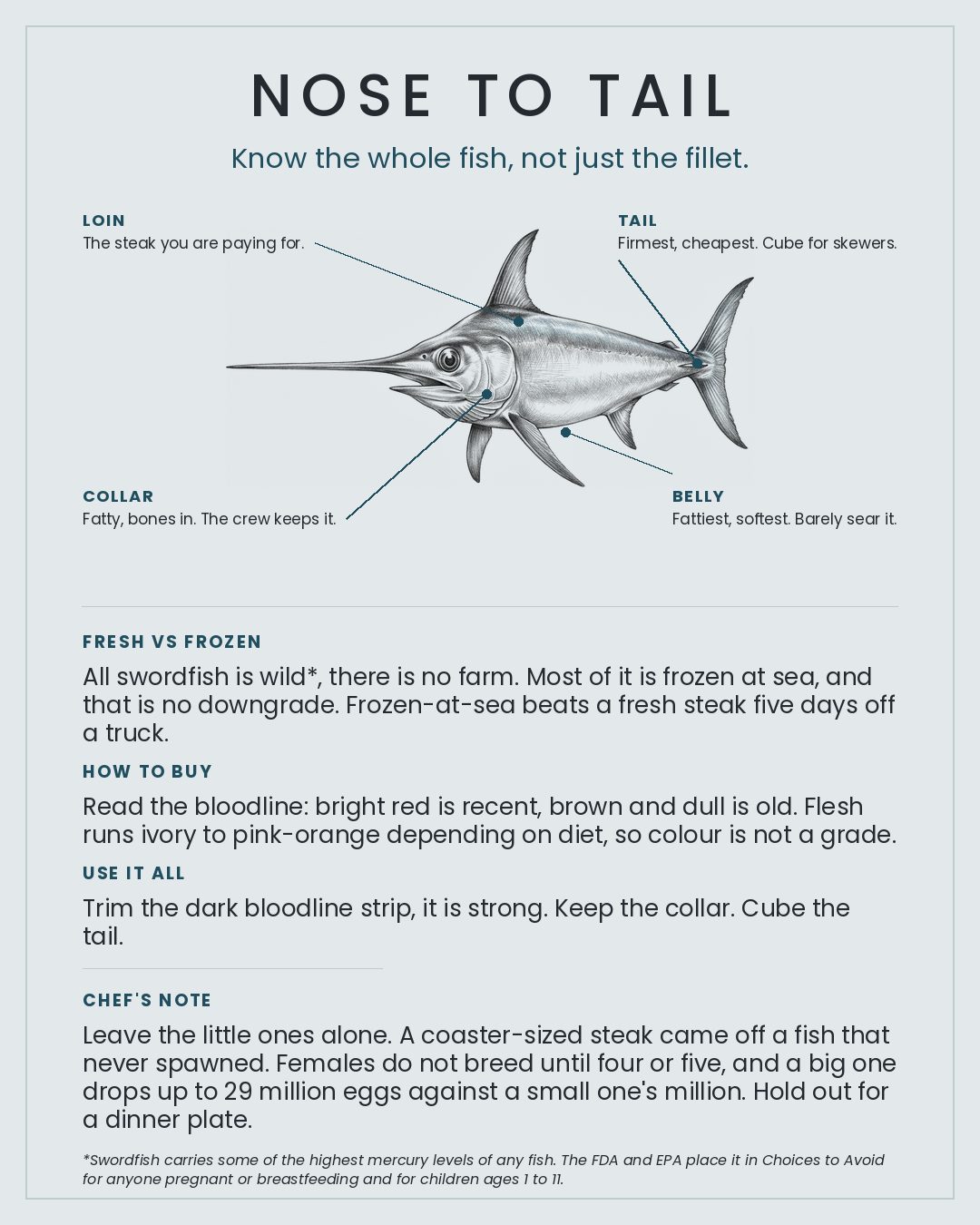 Swordfish nose to tail card
