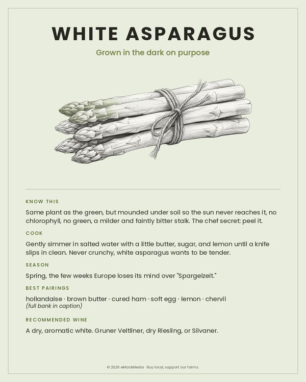 White Asparagus card