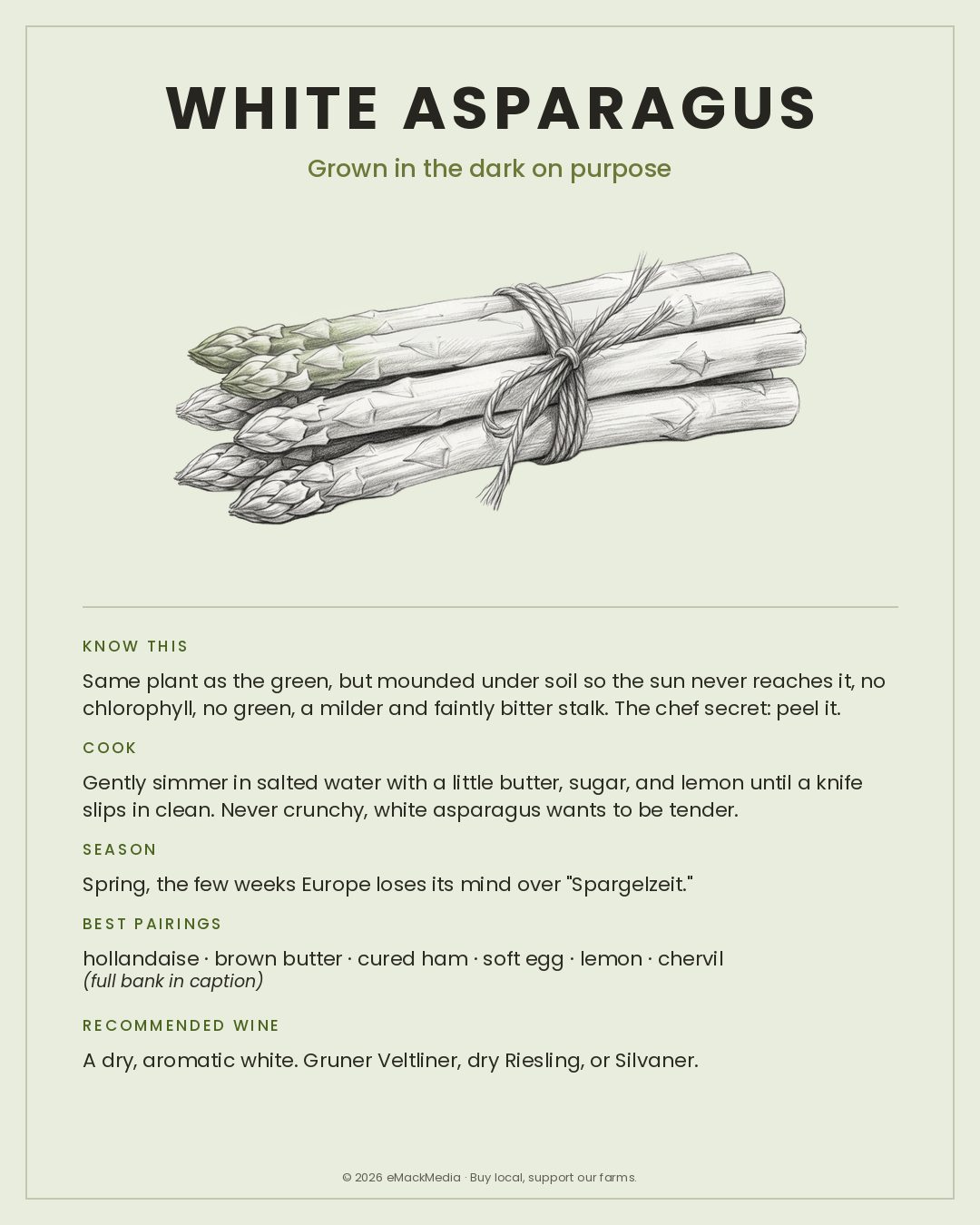 MackFoodie White Asparagus card