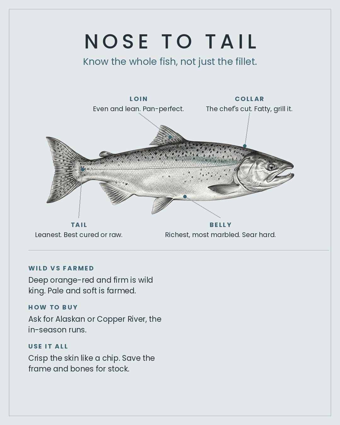 Wild King Salmon nose to tail card