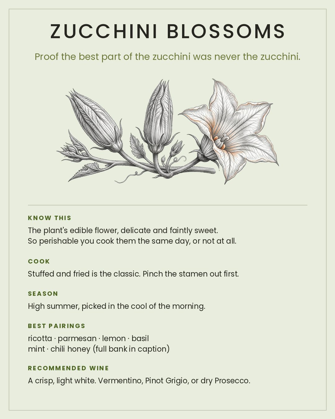 MackFoodie Zucchini Blossoms card